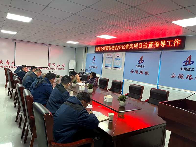 公司黨委委員、紀(jì)委書記王鵬到S219青陽改建項目調(diào)研指導(dǎo)工作